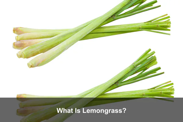 What Is Lemongrass?