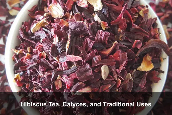 Hibiscus Tea, Calyces, and Traditional Uses